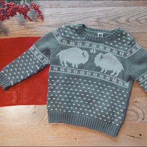 Janie & Jack sweater